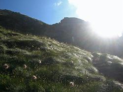 Giro dei Laghi Gemelli, Piano Casere, Becco e Colombo. il 22 agosto 2010 - FOTOGALLERY